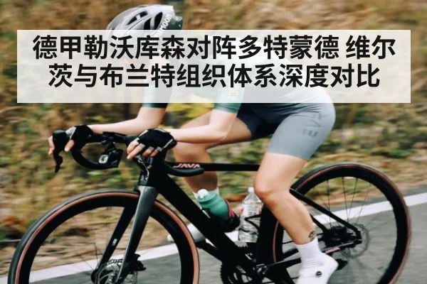 德甲勒沃库森对阵多特蒙德 维尔茨与布兰特组织体系深度对比