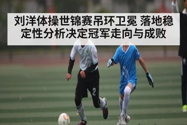 刘洋体操世锦赛吊环卫冕 落地稳定性分析决定冠军走向与成败